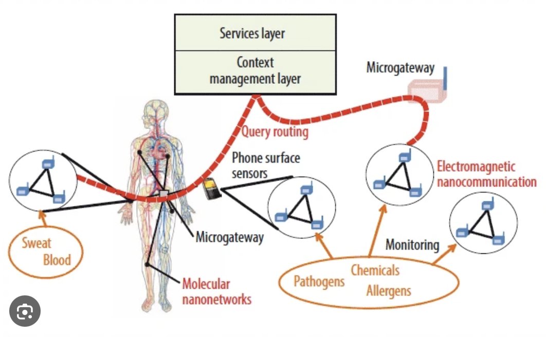 Computer Networking through the Human Body 

Realizing the Internet of Nano Things without Informed Consent

#NanoRouting

#IntraBodyNanoNetworks

#MolecularNanoNetworks

#IntraBodyNanoSensorNetworks

#MolecularCommunicationRouting

#IoNT

IEEE 802.15.4

computer.org/csdl/magazine/…