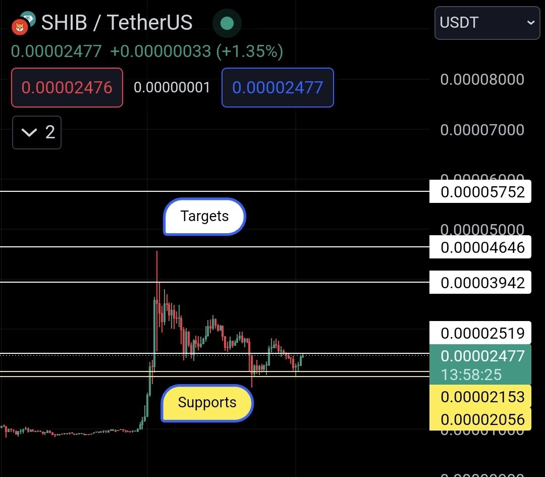 $SHIB KNIGHT tweet media
