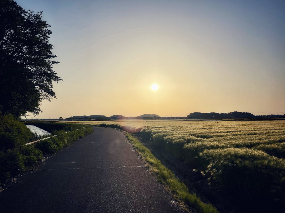 After enjoying several fancy beers, I got back on the train, and then back on my bicycle, and slowly pedaled the ten kilometers home through this beautiful stuff.