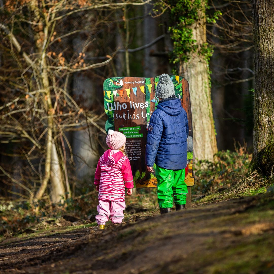 Keep the whole family entertained this bank holiday weekend with our #GruffaloTrail 🎉 Read the signs, play the games, and let's get this party started 👉 forestryeng.land/gruffalo-party…