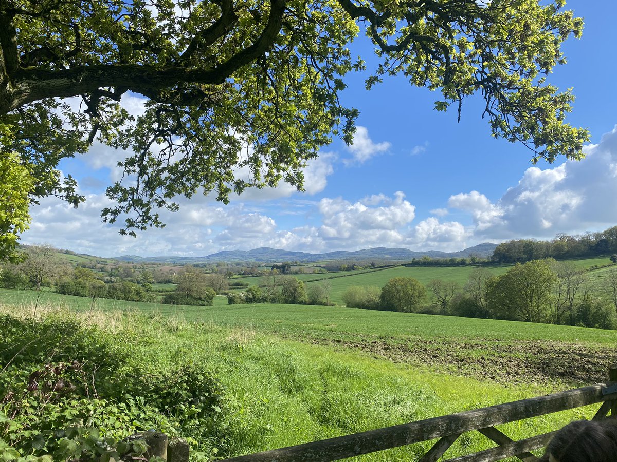That’s more like it 🥰☀️🤩 #Springsunshine #view #MalvernHills #Ledbury #Herefordshire #Worcestershire #landscape #countryside #Spring #paintinginspo