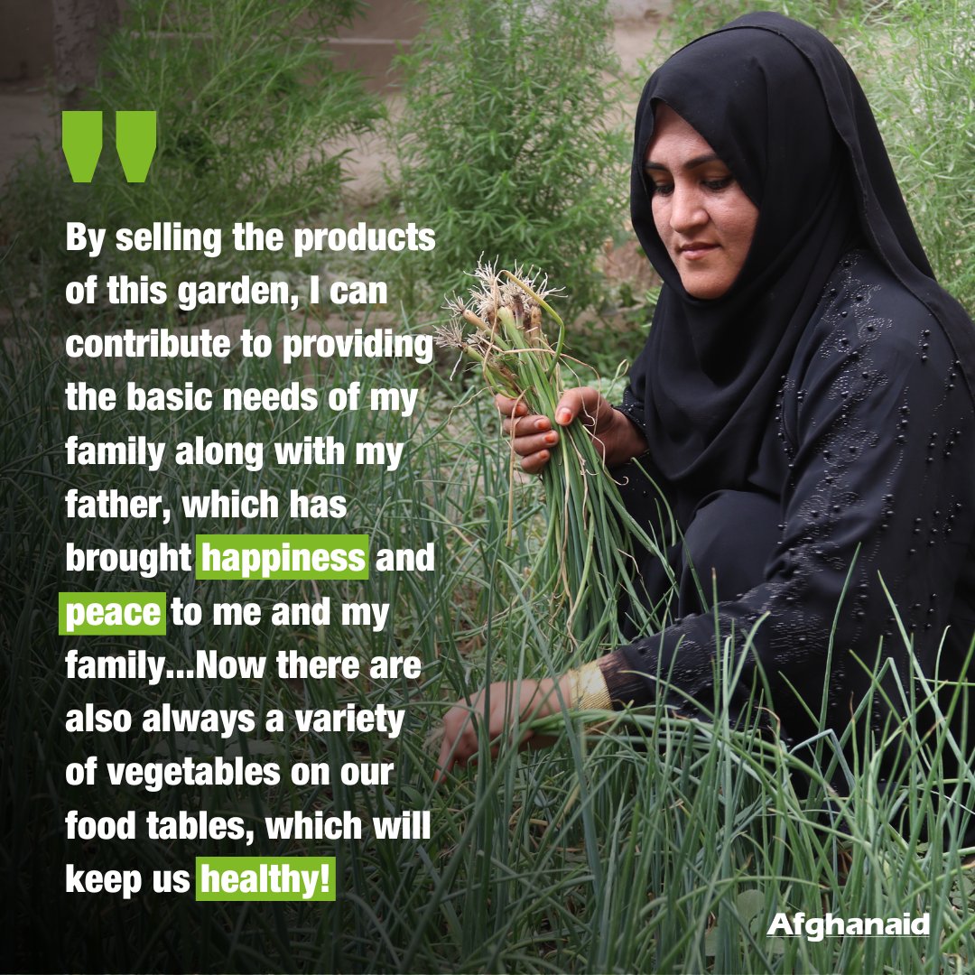 It's #UKGardeningWeek! 🌱🧕🏽For Afghan women, kitchen gardens aren't just about growing plants; they're about growing agency, earning an income & improving local food security 💪🏽 🔗Read how Safia and Fawzia use their home gardens to build brighter futures: bit.ly/3Rob23d