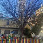 Photo by BARRIO LA PRINCESA (@BarriadaP)