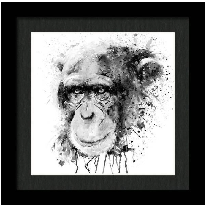 A big thank you to the buyer from Wilson Creek, WA - United States for purchasing an 8' x 8' print of 'Watercolor Chimpanzee Black and White'. Your support means everything! pixels.com/saleannounceme…