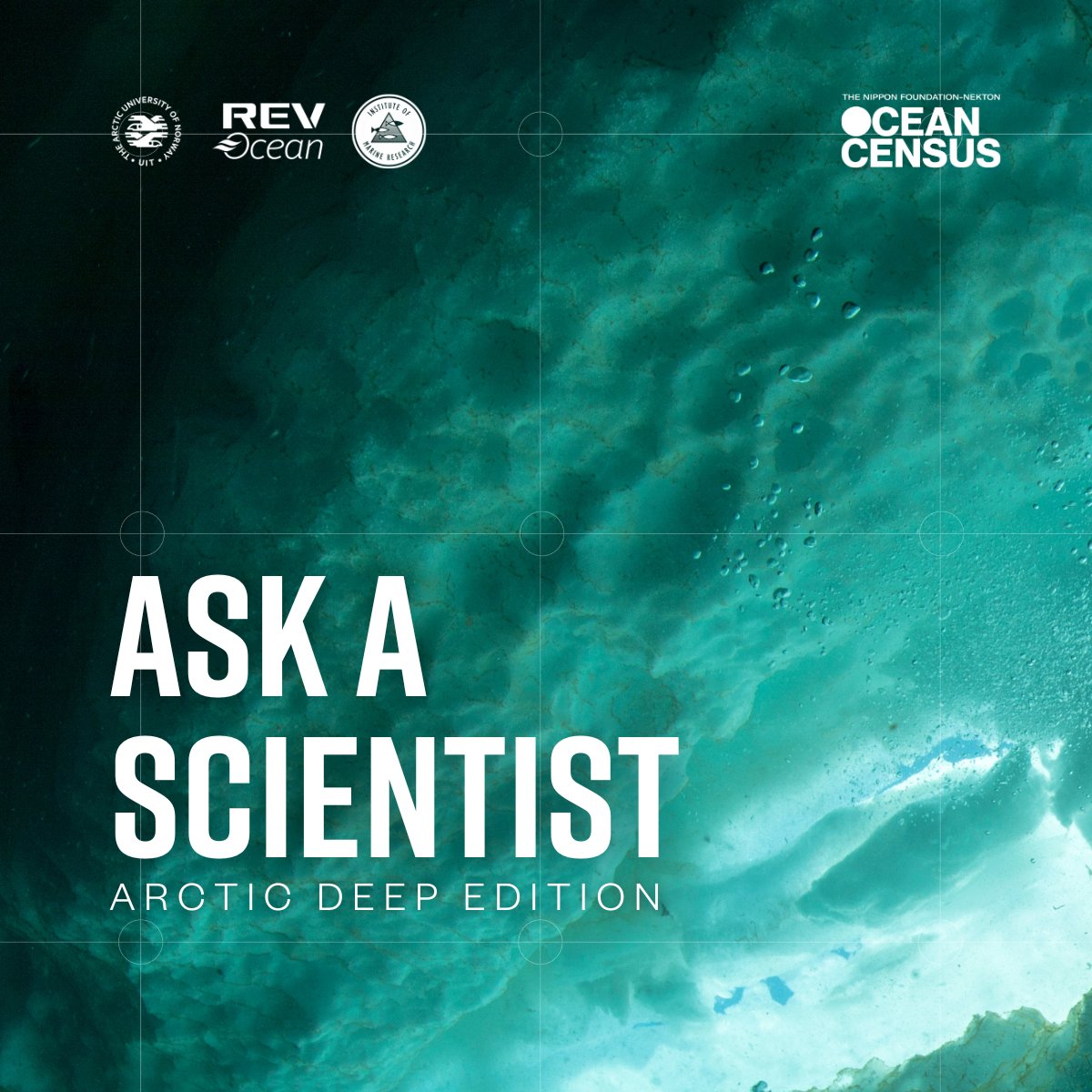 🤔 Curious about our expedition to document the #biodiversity of the #ArcticDeep ocean?

Ask away!

Drop your questions and our amazing crew will answer them from the ship👇