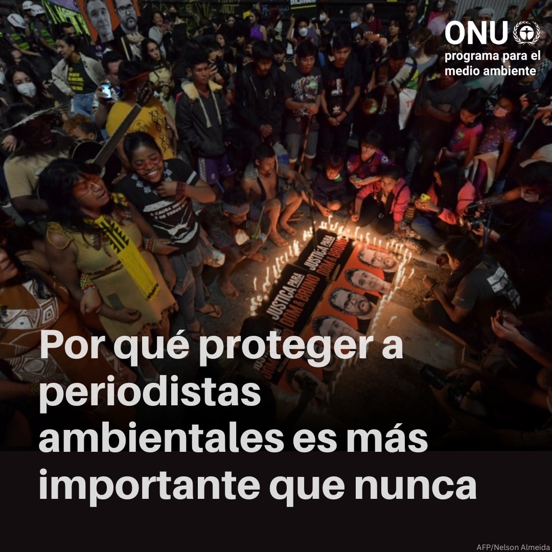 Cada vez más periodistas sufren amenazas, agresiones y más problemas. #DíaMundialDeLaLibertadDePrensa El periodismo ambiental es decisivo para hacer frente a la triple crisis planetaria. ⛈️🪵♻️ ¿Qué hace el PNUMA al respecto? unep.org/es/noticias-y-…