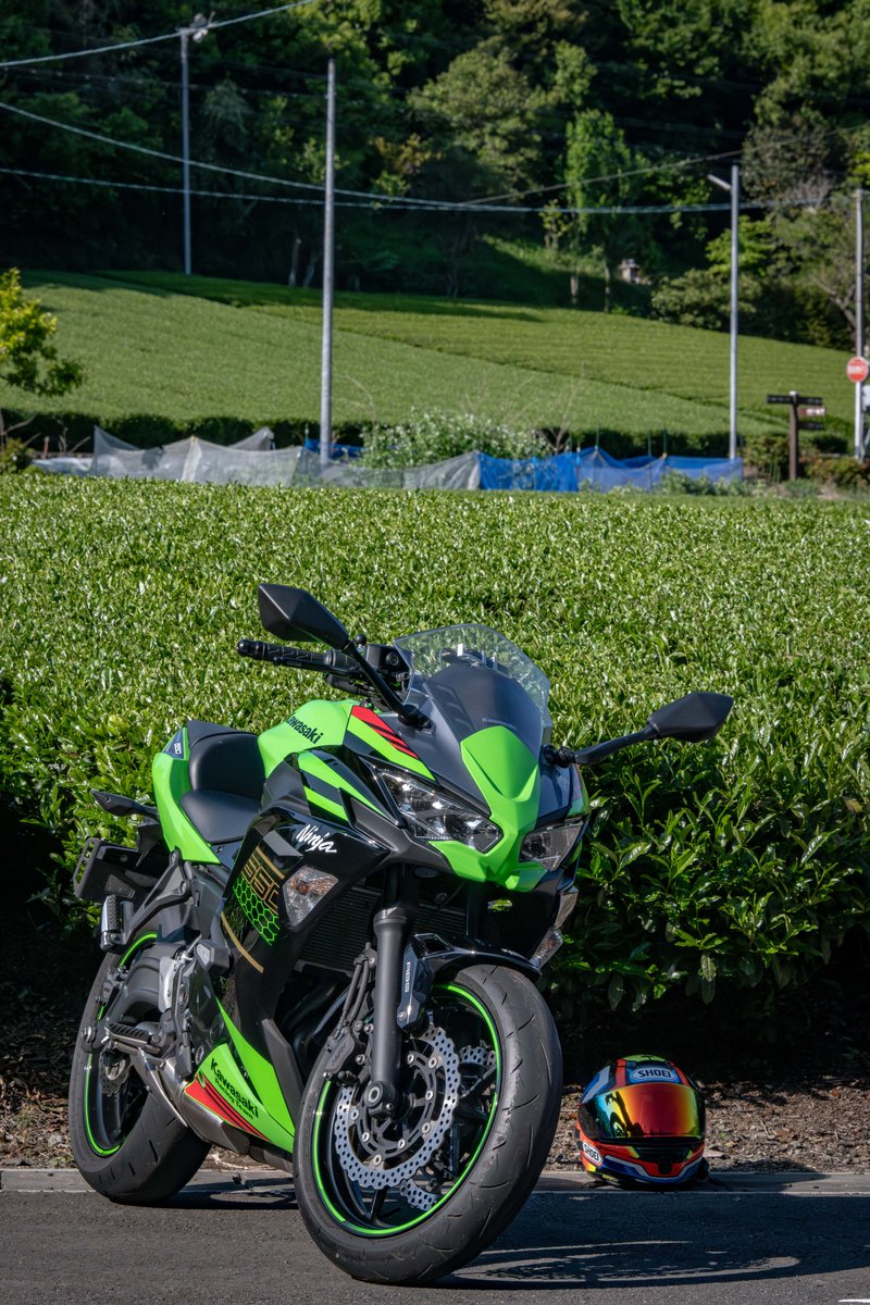 みどりの日なので緑のバイクで飾りたかったのですが… 現在入院中なんです😢 ゴールデンウィークに出かけた見事に緑一面の新茶茶畑とNinjaくん（過去作） #みどりの日 #みどりの日なので緑の画像を貼る #みどりの日なので緑の推しの画像を貼る