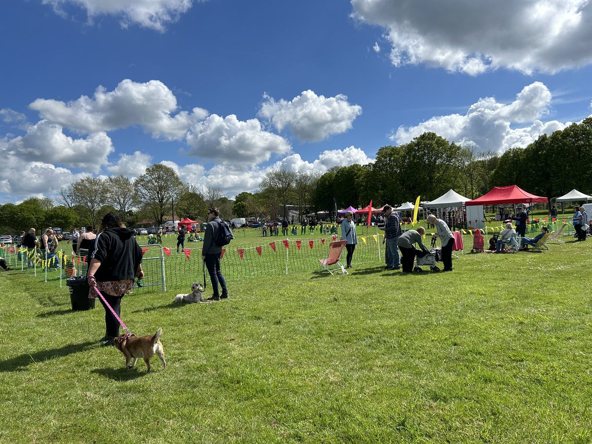 Setup and ready to go at Hainault Forest Fun Dog Show. Suns out so why not come over and join the fun! #greyhounds #greyhoundsmakegreatpets