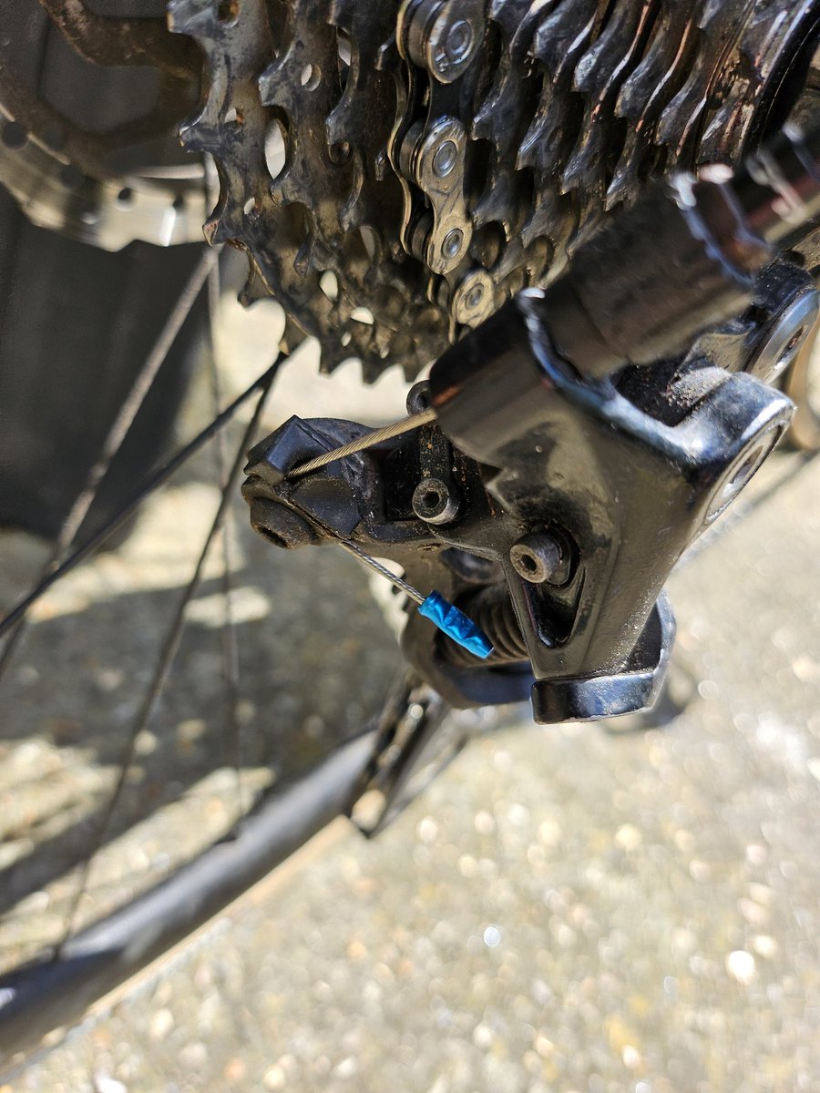 Stephen Kingdom (@cyclingtheseaso) on Twitter photo Bike all ready for the ride to Wolves - it's the little details that matter. Thanks to <a href="/wally_cycles/">Wallington Cycles</a> #supportyourlocalbikeshop #lbsdayuk <a href="/LBSDayUK/">Local Bike Shop Day</a> . Still time to sponsor me for <a href="/PalaceForLife/">Palace for Life</a> justgiving.com/page/stephen-k… Bike all ready for the ride to Wolves - it's the little details that matter. Thanks to <a href="/wally_cycles/">Wallington Cycles</a> #supportyourlocalbikeshop #lbsdayuk <a href="/LBSDayUK/">Local Bike Shop Day</a> . Still time to sponsor me for <a href="/PalaceForLife/">Palace for Life</a> justgiving.com/page/stephen-k…