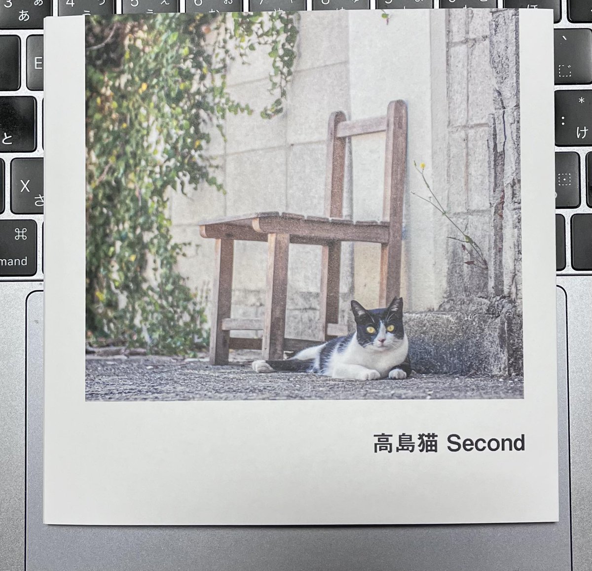【 猫助けフリマ 】幻灯舎にて開催
： アーティスト出店者のご紹介 ：
2024年5月11日（土）＆ 12日（日）
13時～19時
（12日（日）の保護猫譲渡会は11時～17時）

大島 猛 さん
写真家さんで、島の猫を撮った写真集を出してくださいます。
参考ページ
nagasaki-search.com/8435/?fbclid=I…

写真集の表紙 ↓