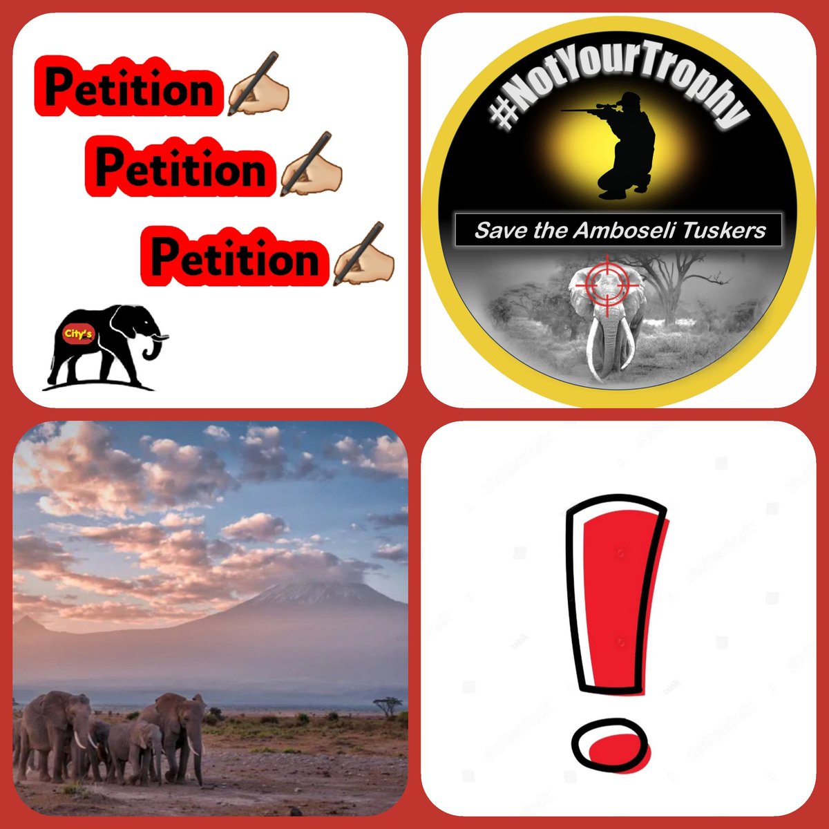 I have to get something off my chest. 🦣🦣🦣🦣🦣 This extremely important PETITION ✍🏼 chng.it/2FkZkx2v via @Change for the big elephant SUPER TUSKERs in Amboseli • Kenya against trophy hunting in #Tanzania has been on social media for weeks and has now, 1/...