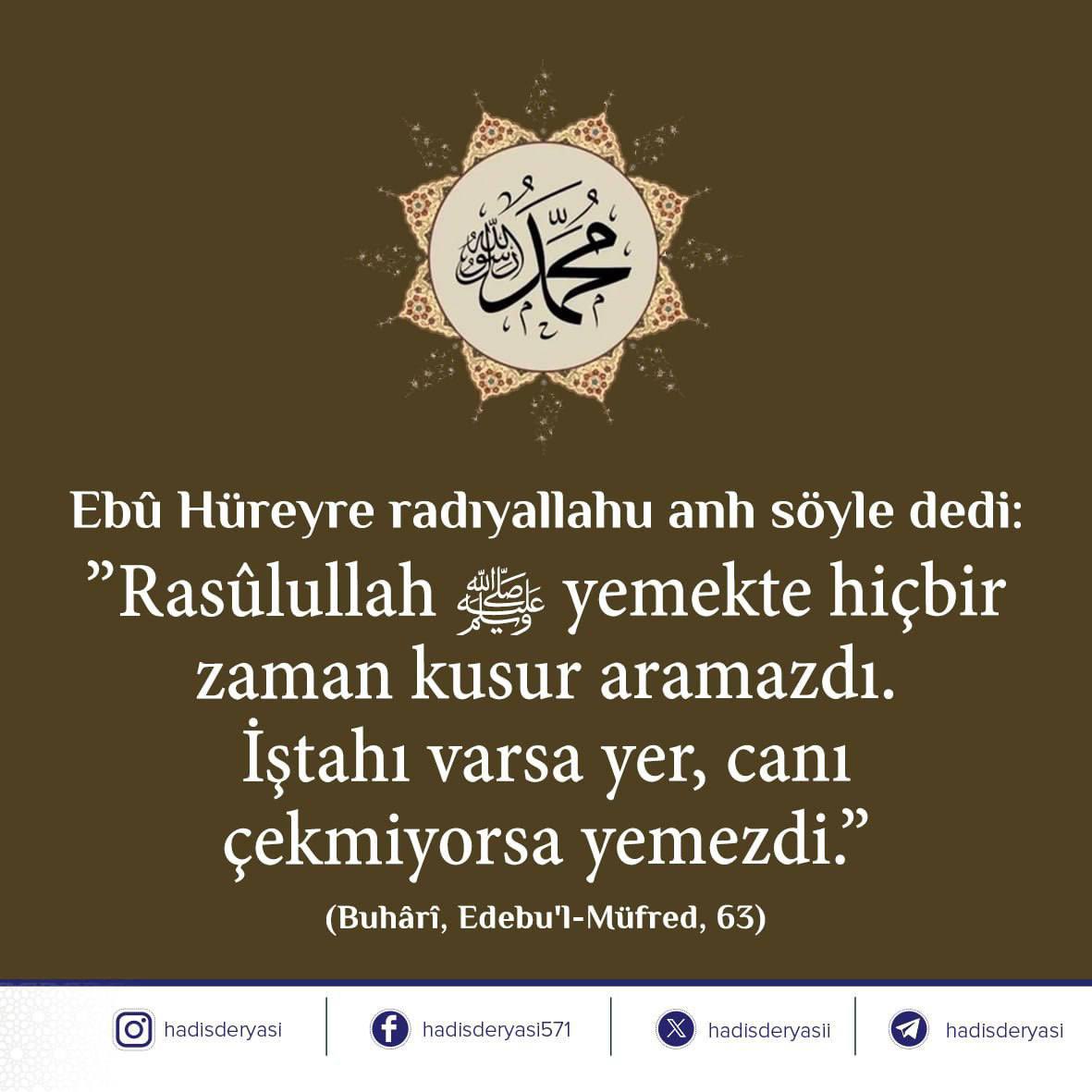 Ebû Hüreyre radıyallahu anh şöyle dedi: 

”Rasûlullah ﷺ yemekte hiçbir zaman kusur aramazdı. İştahı varsa yer, canı çekmiyorsa yemezdi.” (Buhârî, Menâkıb 23)