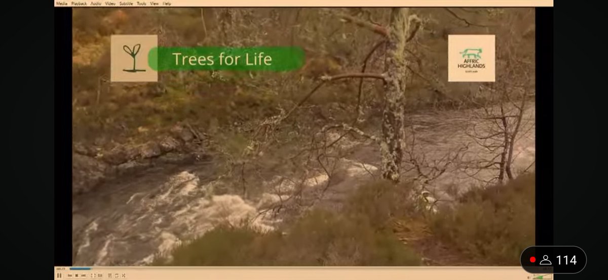 Thanks @HHDayUK, really enjoying watching the show and loving the @treesforlifeuk story too. Amazing work so far ! 👏👏❤️🌏🦅 #henharrierday