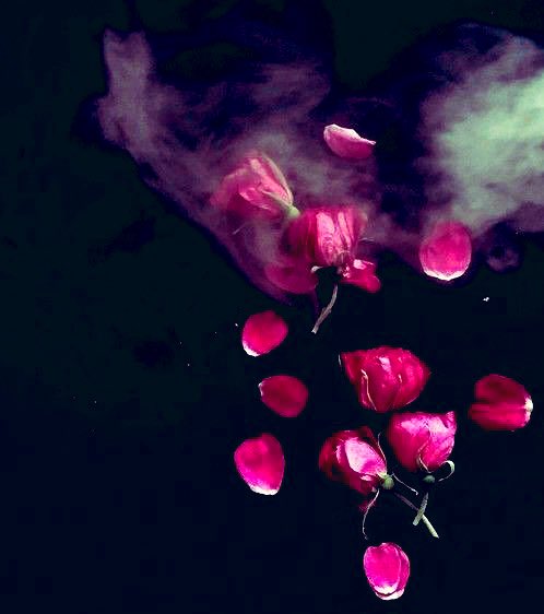Striving the distance My words fly o’er deep oceans - Touch you and kiss you Cover you with rose petals Writing is a graph of my heart #vss365 #graph #inkMine #strive #haiku #tanka