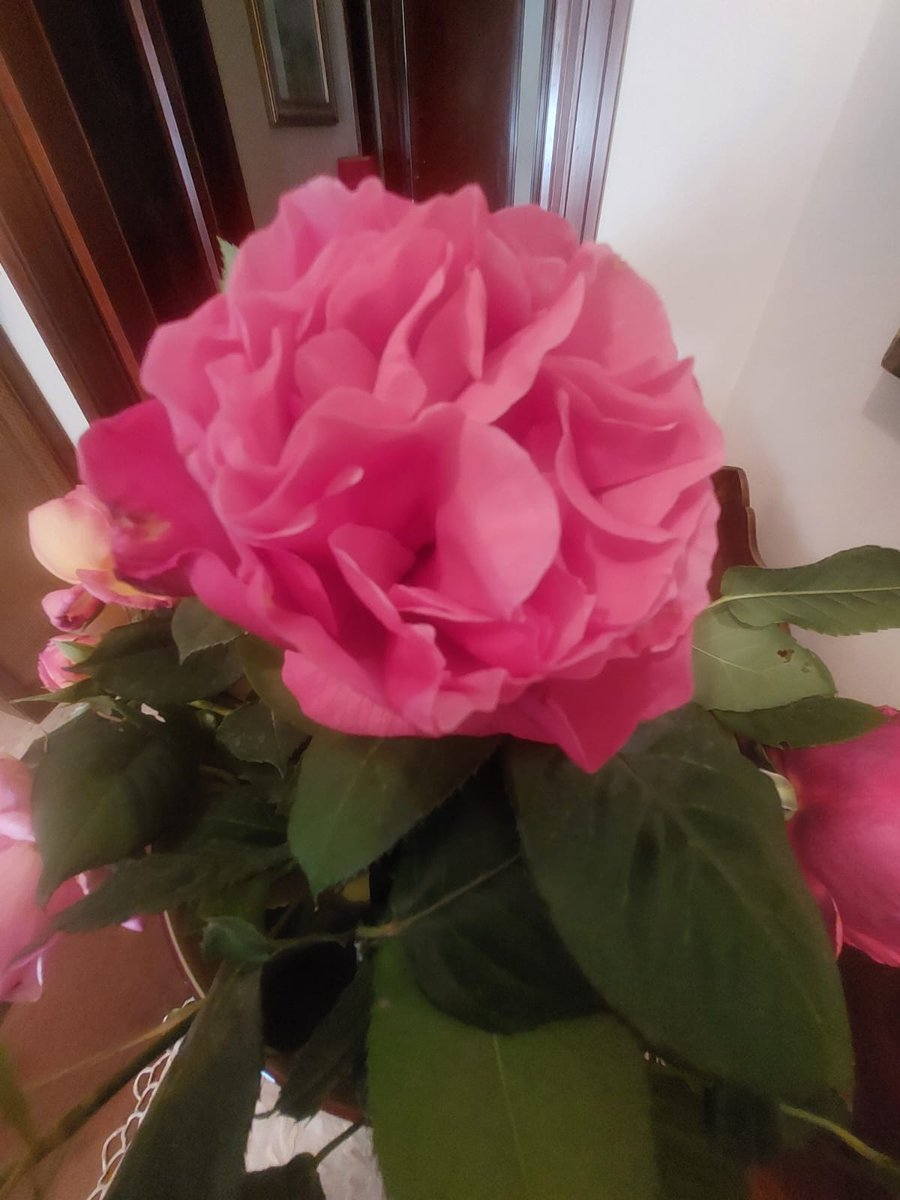 mapris1750's tweet photo. @eugeniogaltieri Io gli auguri li faccio solo a te. Mi sembri più meritevole https://t.co/Cp0o76QnTF