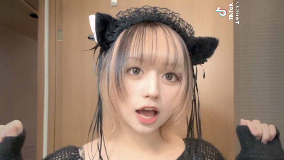 tach3n's tweet photo. 養ってほしいにゃ https://t.co/TgYPmKklNP