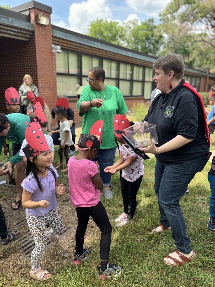 Emma Linn tweet media