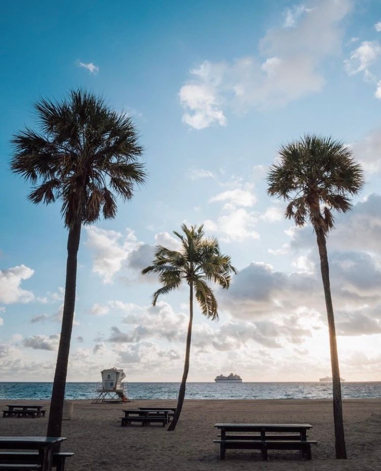 Happy Saturday! 🌴 #goodmorning #fortlauderdale #fortlauderdalemagazine #FLMag #morning #southflorida #florida #may #spring #beach #laudy #wakeup #ftlauderdale #mothersday #lauderdale #broward #saturday #weekend #oceanview #visitflorida #lauderdale