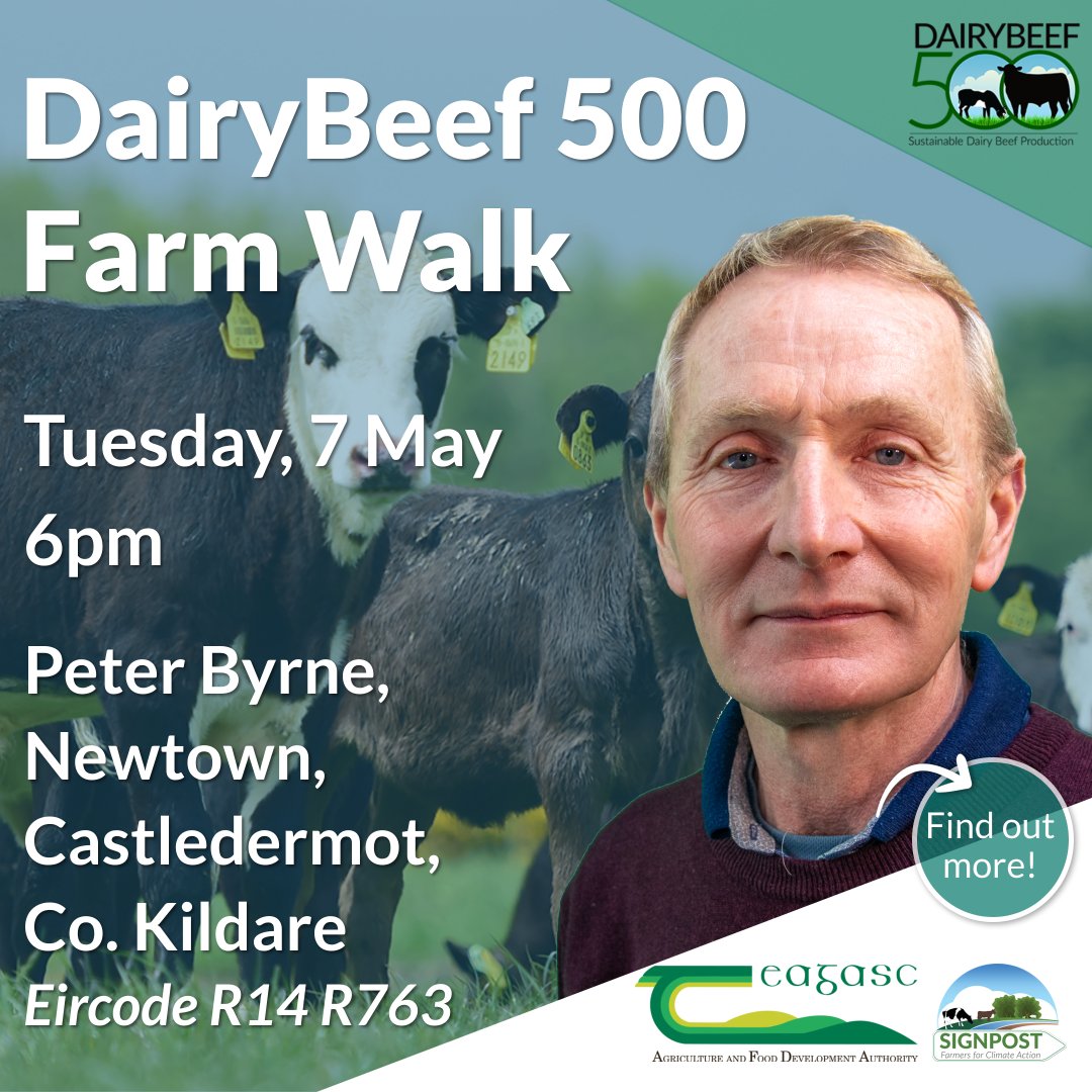 Join us on Tuesday, 7 May at 6pm for a #DairyBeef500 farm walk on the farm of Peter Byrne, Newtown, Castledermot, Kildare. Topics to be discussed include planning for silage & building a fodder reserve. More here bit.ly/43TGSYy @TeagascBeef @TeagascSignpost