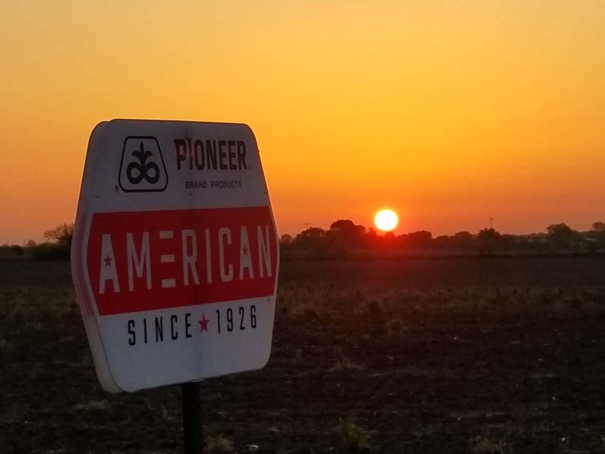 Rise and Shine America!!!
#PIONEERSTRONG 🇺🇸🌽💪
#AMERICANSINCE1926 🇺🇸🌽🇺🇸
@PioneerSeeds
