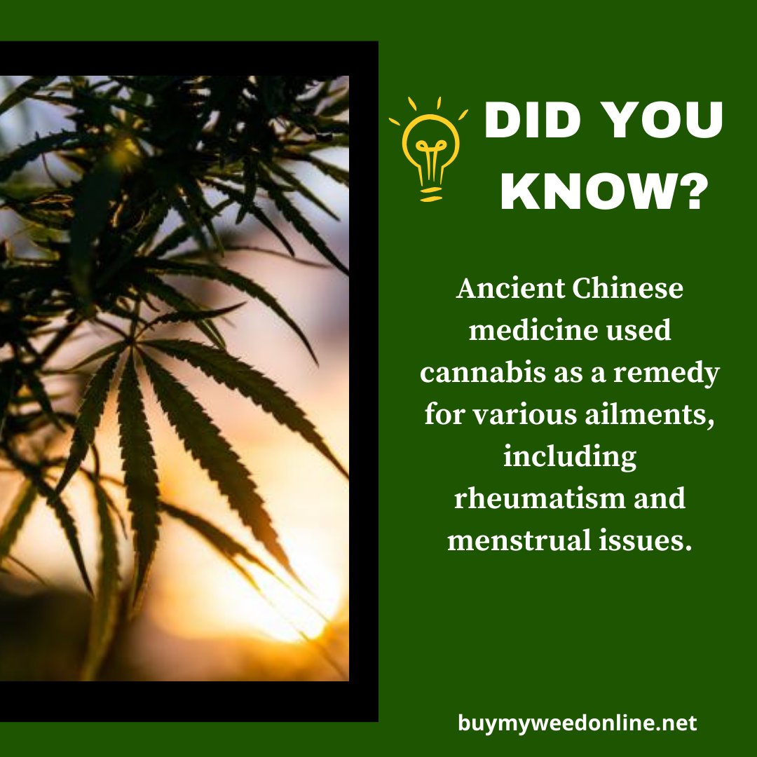 Ancient Chinese medicine used cannabis as a remedy for various ailments, including rheumatism and menstrual issues. #MedicalCannabis #BMWO #buymyweedonline