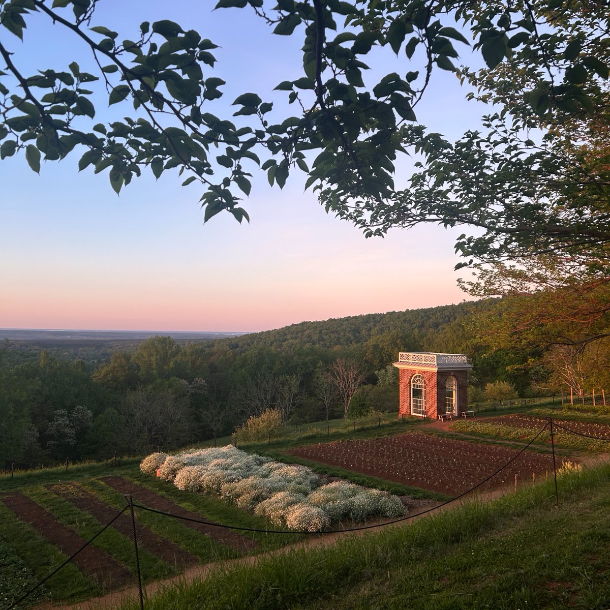 A rare glimpse of the sunrise at Monticello. 📸: Tuesday, April 23 | 6:40 a.m. | 38 °F