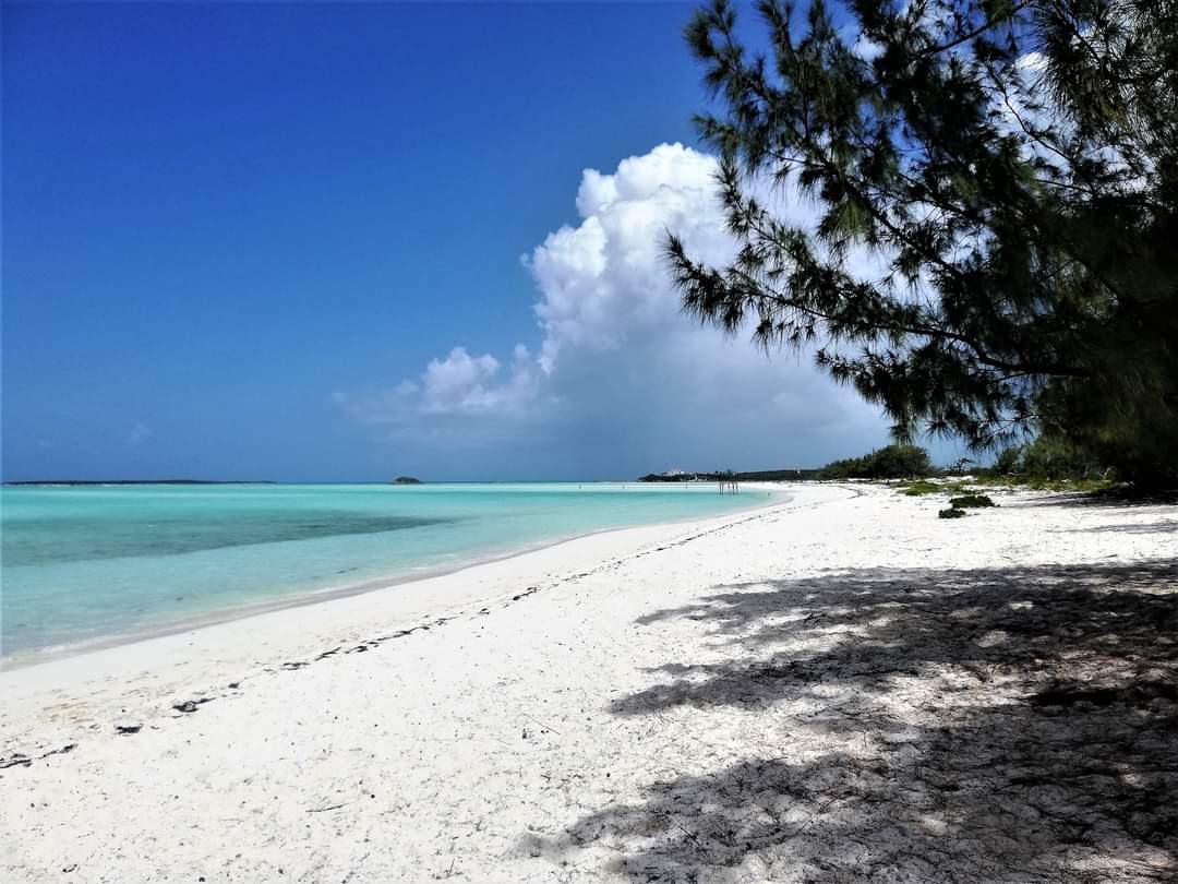 Exuma, #Bahamas 🇧🇸 ☀️ 📸 Patrizia Pazzaglia