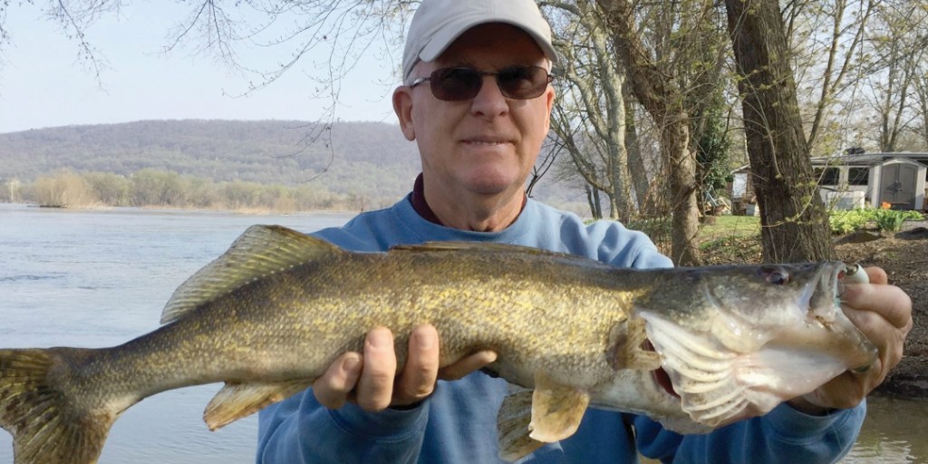 It's Opening Day in PA for Walleye! The minimum harvest size is 15 inches with a daily creel limit of six fish. Find Pennsylvania's Best Fishing Waters for Walleye: ow.ly/W2Ph50Oeo0g #FishPA #Pennsylvania #Walleye #Angler #ExplorePAWaters #Fishing