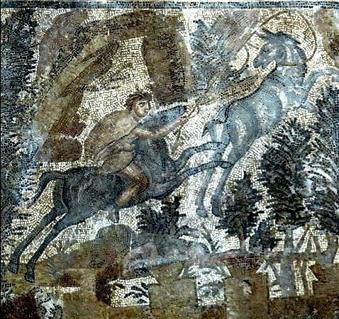 Mosaic of the Hunt, detail: capture of a wild ass; from the ancient city of Hippo Regius (modern-day Annaba), Algeria, 3rd century AD; on display at the Archaeological Museum of Annaba. 

#Algeria #Numidia #Mosaic