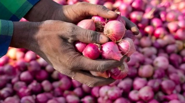 পেঁয়াজ রপ্তানিতে নিষেধাজ্ঞা প্রত্যাহার ভারতের, দেশে কমতে পারে দাম