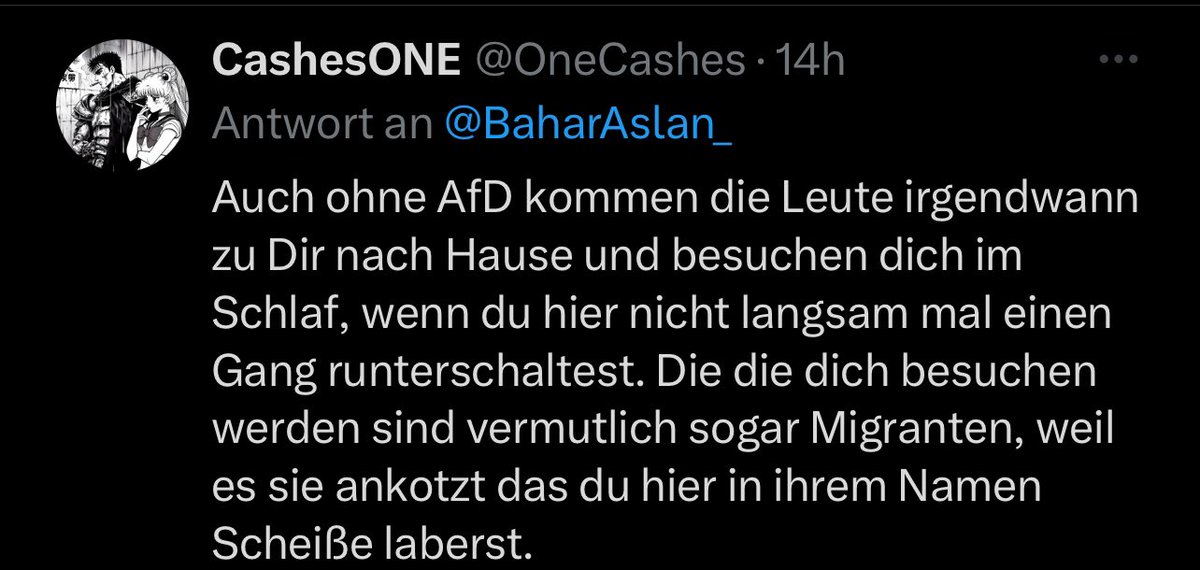 Ich verdiene also Schläge und Gewalt, weil ich meine Meinung äußere? Interessant. Herr S. vom Polizeipräsidium in Köln wird das sicherlich genauso sehen wie ich. Die Anzeige ist raus. 🙂