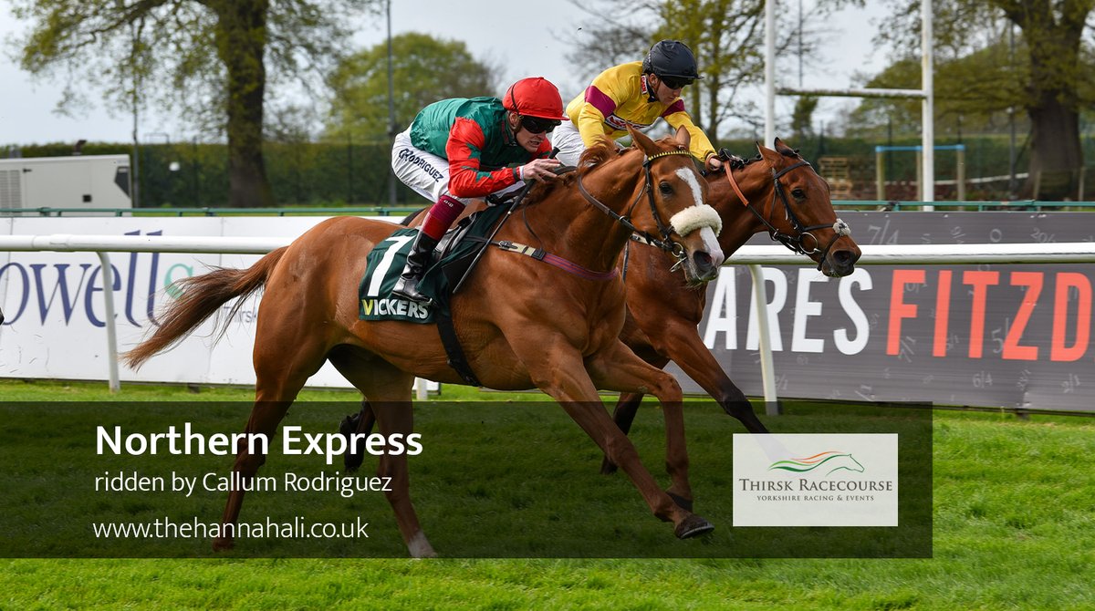 Six runners at @ThirskRaces today, including Northern Express (pictured) bidding for back-to-back victories in the Vickers.Bet Thirsk Hunt Cup. Good luck to owners, the Sekura Group, & connections of Brazilian Belle, Sparkling Red, Tatterstall, Tinto, & Irish Flame.