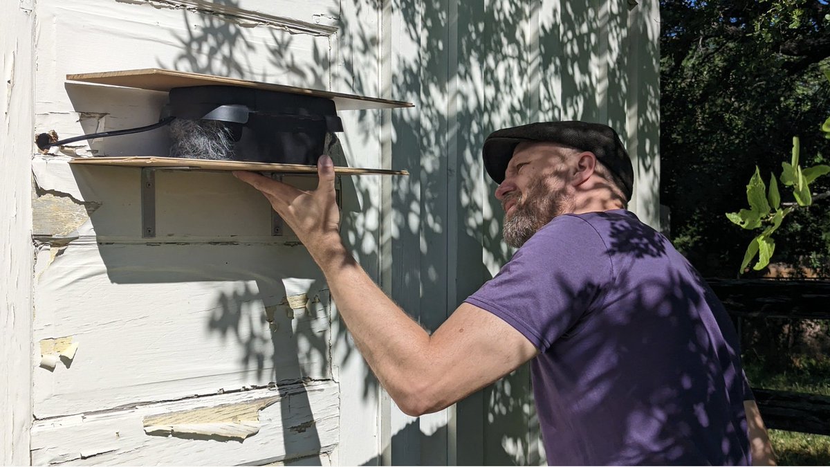 The streambox we installed at @PhilHardbergerPark in San Antonio will be coming up shortly on Soundcamp's Reveil broadcast. Livestreaming the dawn chorus from all around the world over 24 hours this weekend! Soundtent

soundtent.org/soundcamp_list…