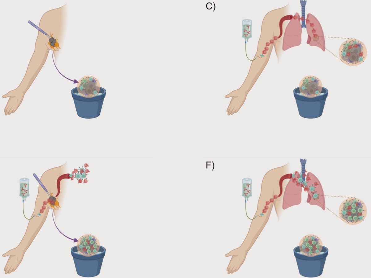 Pashtoon Kasi MD, MS tweet media