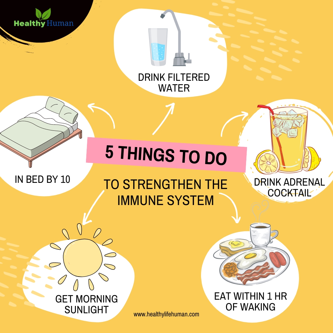 ✔️ 5 Things to do strengthen the immune system: 🌐 Visit us:healthylifehuman.com Follow for more @HealthyLifeHum #immunesystem #skin #summerskincaretips #skincareproducts #healthyskin #summervibes #glowingskincare #summer