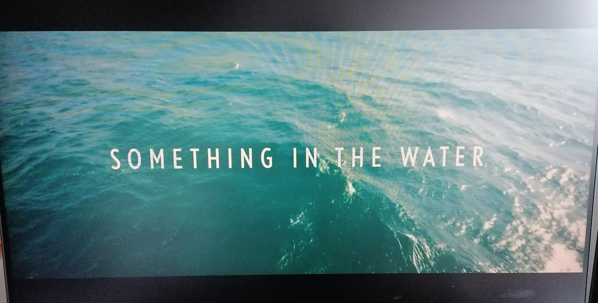 Boring for about 24min,till then you've just seen a stingray and the tip of a 🦈fin.Foreseeable like always,the CGI not worth mentioning. Watch it or not you won't miss anything.1,5h of time to spend more wisely.4/10 #MovieReviews #sharkmovie #SomethingInTheWater @andrea_kre21024