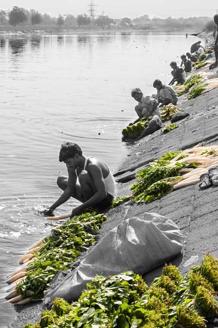 WASTEWATER REUSE, HEALTH AND PEACE
Washing vegetables for the market using wastewater from Agra Canal in Delhi, India

#WorldWaterDay2024 with the theme of #WaterforPeace stresses the importance of sustainable and equitable access to water for a broad range of societal benefits.…