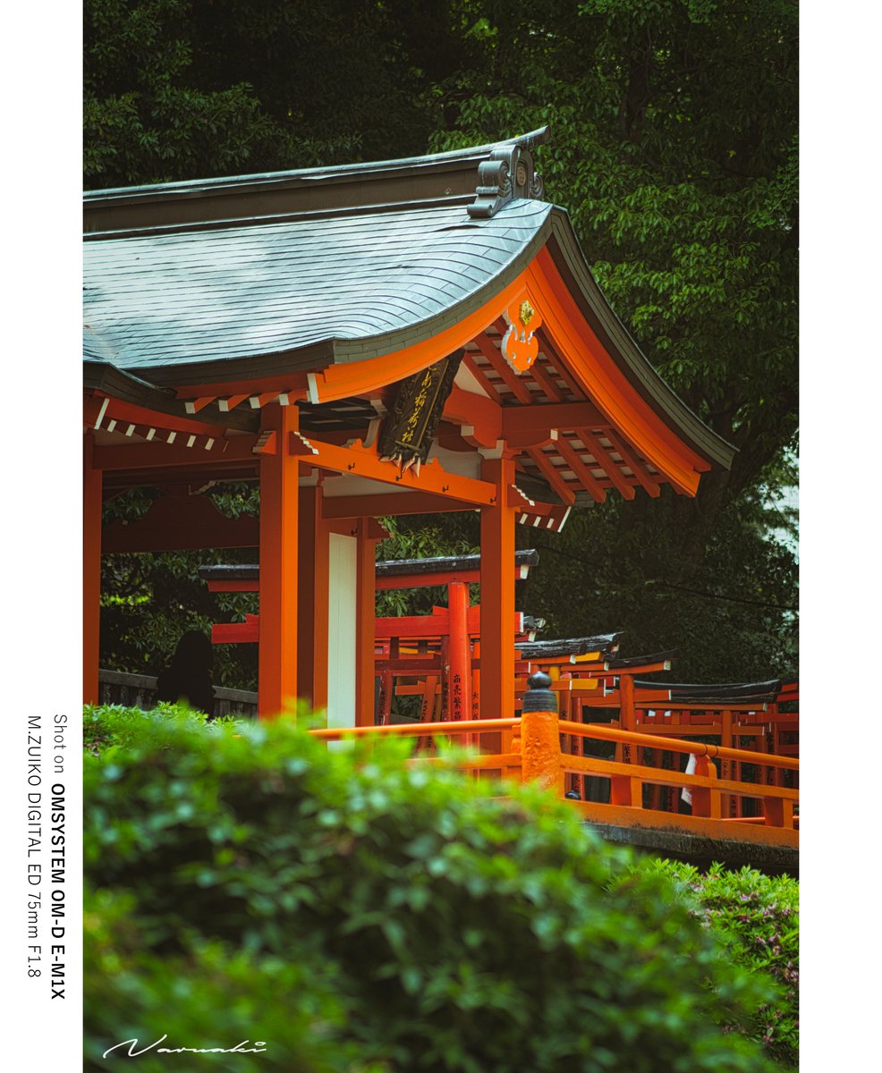 乙女稲荷神社 

#ストリートスナップ 
#根津神社 
#omds 
#omsystem 
#photography 
#streetphotography