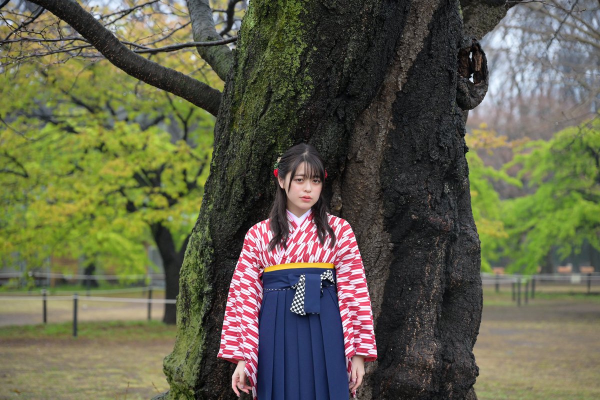 はいからさん、今どうしているかな。

ゆーかさん@yuuka_photochan 

2024/3/25
#袴 #卒業式
#ポートレート #portrait 
#Nikon #Z8 
NIKKOR Z24-120mm f/4S