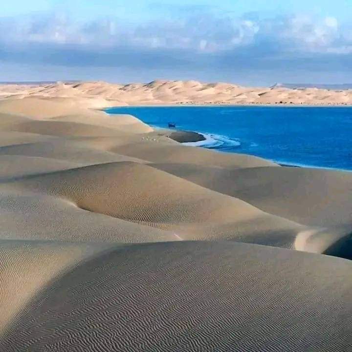 دائما أحييكم من الصحراء المغربية 🇲🇦🇲🇦🇲🇦
 هذه المرة من شاطئ الدخلة
