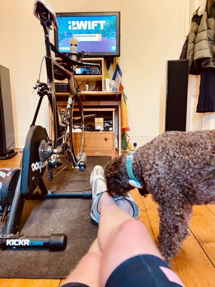 Anyone got a solution? The dog acts as if I’ve just had a bath in beef dripping after @GoZwift A hot tongue isn’t helpful!