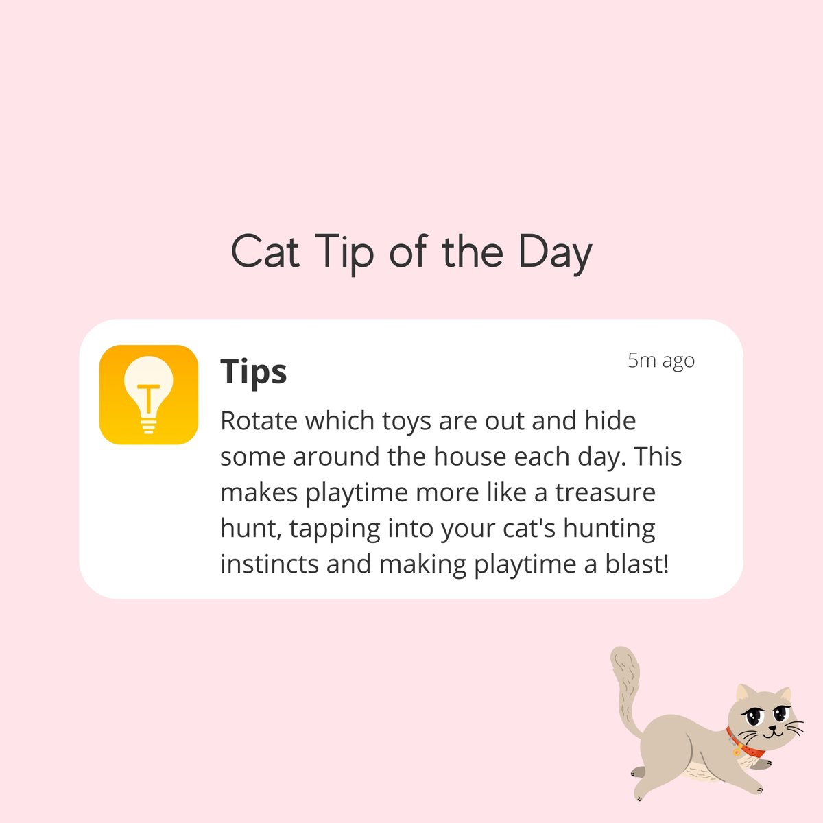 Always remember that you cat is a wild predator 😼

Follow ✅ for more Cat Tip of the Day 💡

#catvibes #cutecats #catpower #funnycat #catcare #catlover #kittymeme #catmeme #cathealth #catsbeingcats #catinsurance #everypaw #petinsurance #everypawuk #everypawpetinsurance
