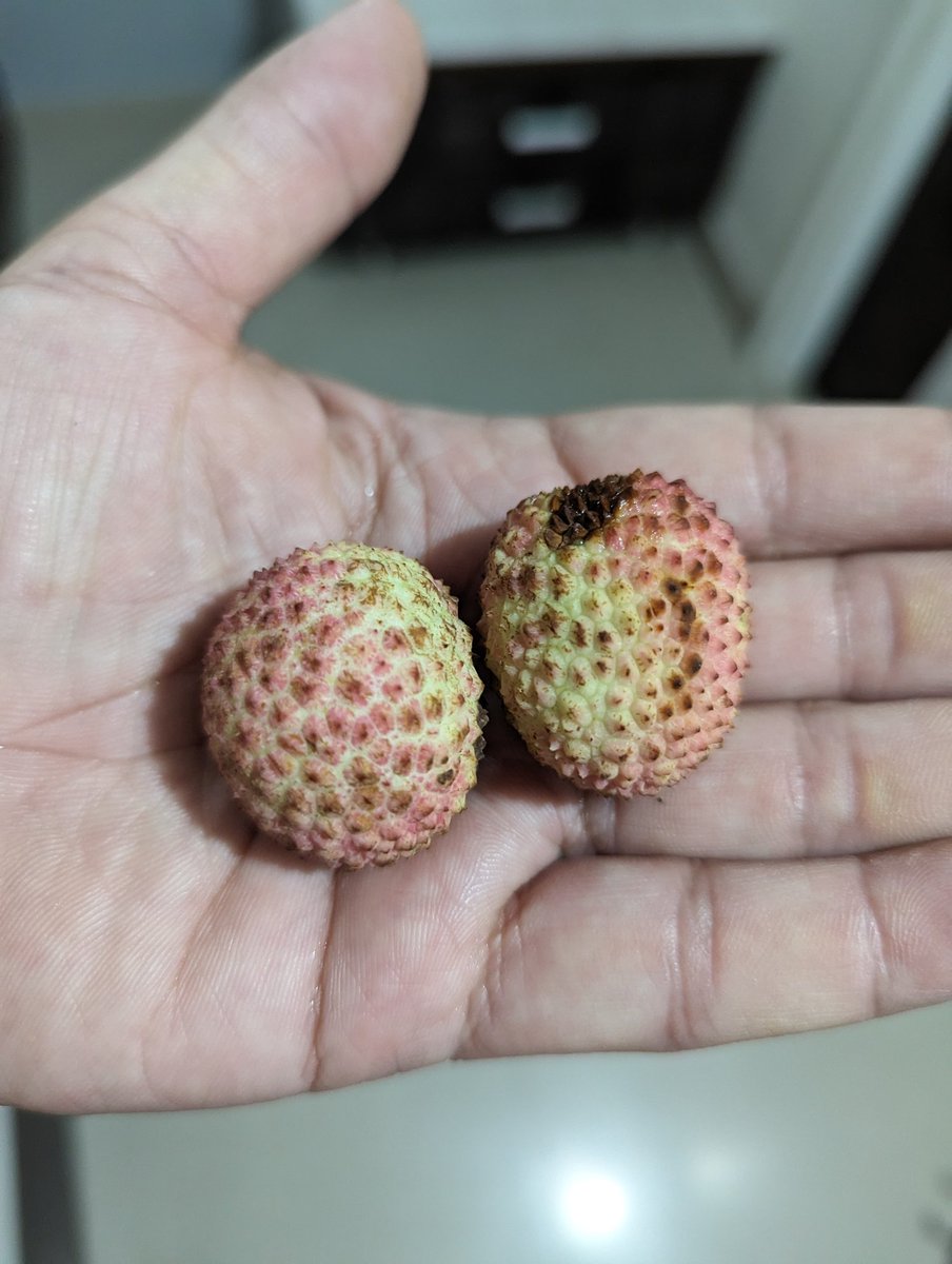 SaturdayFun ,What's the problem with this fruit?