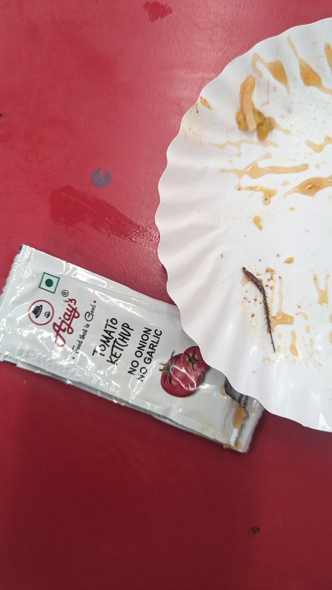 Keyurgamit's tweet photo. @ajaysgoodfood I hope you can Identify this unordered leg piece in my fries. At Ankleshwar Gadkhol franchisee (Rangdoot Enterprise) https://t.co/FshcxrzNII
