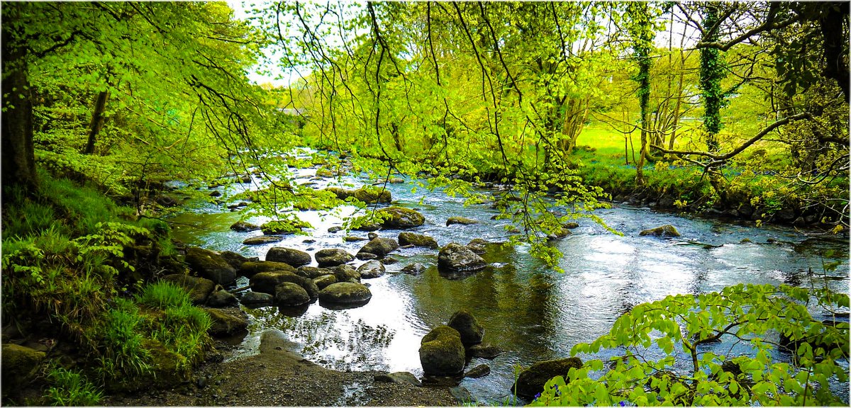 Dwyfor Llanystumdwy 🏴󠁧󠁢󠁷󠁬󠁳󠁿