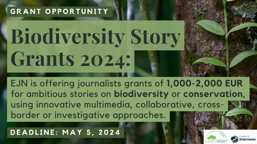 📢LAST CALL! EJN is offering story grants of 1,000-2,000 EUR for biodiversity or conservation stories covering topics including threats to species diversity, innovative conservation solutions, and more. Apply by May 5, 2024: loom.ly/PA_R4Q8
