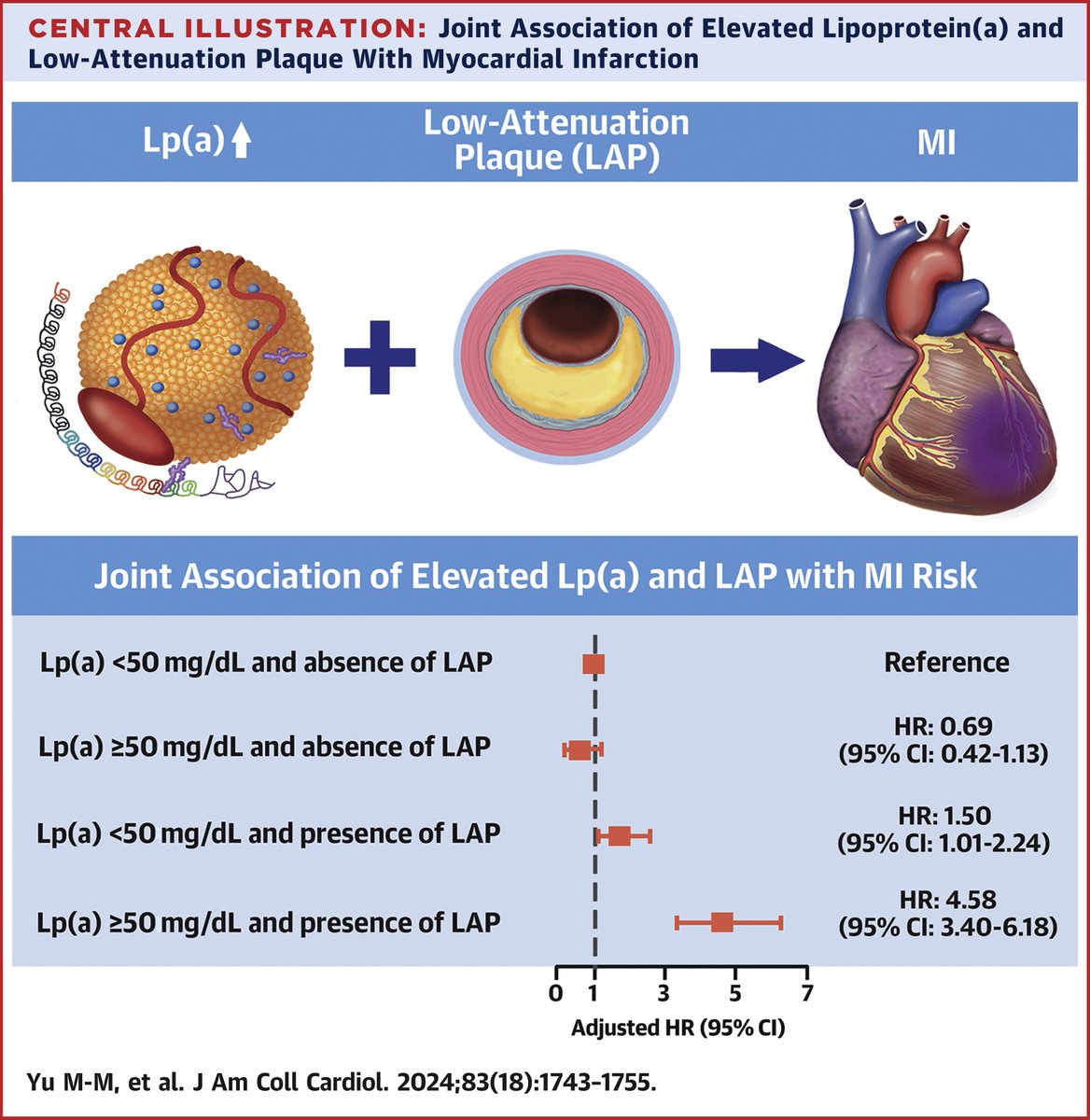 Elevated Lp(a) augments the risk of #cvMI during 8 years in follow-up in patients with low CT attenuation plaque: bit.ly/3JLCtzd #JACC #cvCAD #Lpa #cvLipids #CardioEd