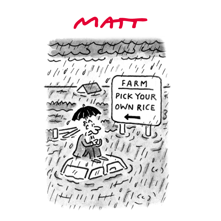 'Farm: pick your own rice' My latest cartoon for tomorrow's @Telegraph Buy a print of my cartoons at telegraph.co.uk/mattprints Original artwork from chrisbeetles.com