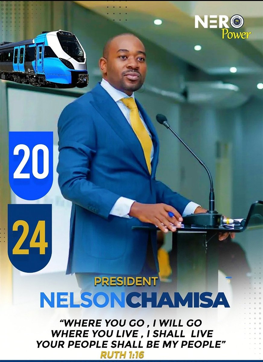 I Stand With President Advocate @nelsonchamisa