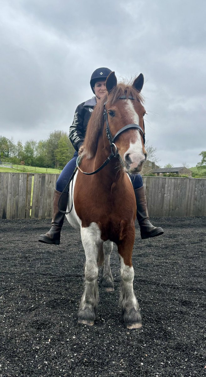 Thanks, Billie Pearce I've just had an incredible horse riding lesson on Sebastian! From no stirrup work to bareback riding, he was amazing. Such a trusty boy 🐴 #equestrianLife